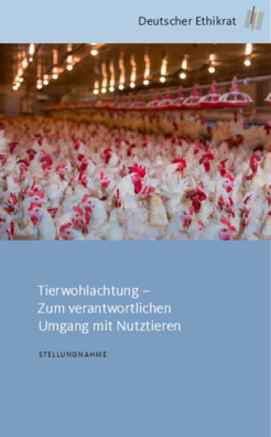 Preview of PDF File